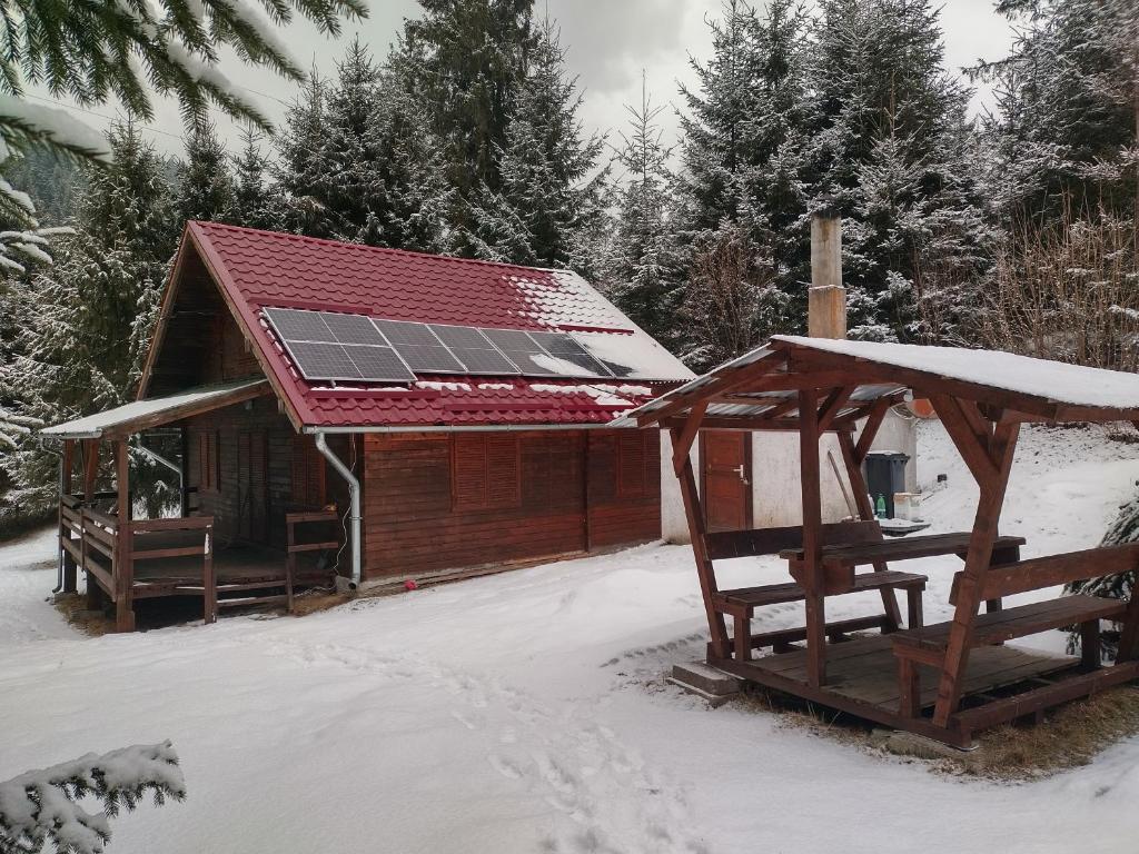 紅湖的住宿－Cabana DUY-KAY，一间拥有太阳能屋顶的小屋,上面有雪