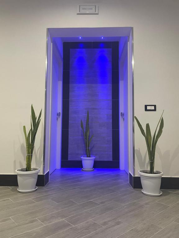 two potted plants in front of a purple door at LA CASA DELLE FATE-Area Marina Protetta in Isola delle Femmine