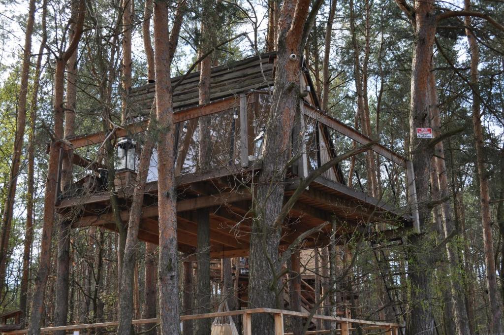 Rudka GołębskaにあるDomek na Drzewie!の森の中の木の家