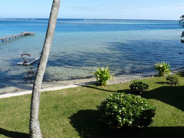 Poerani Moorea - photo 9 - Moorea, Polynésie