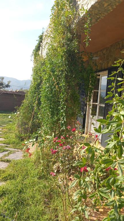 Ferme Tibrijine - One-Bedroom Chalet
