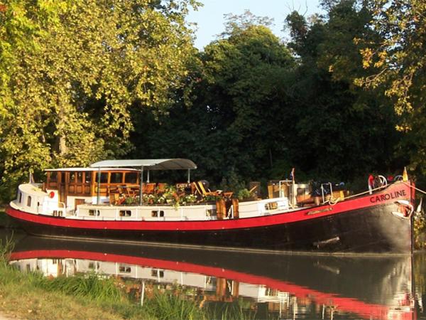 un barco en un río con árboles en el fondo en Peniche Caroline, en Capestang