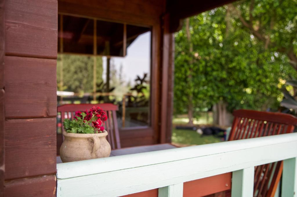 Eden Ramot Chalets - Chalet