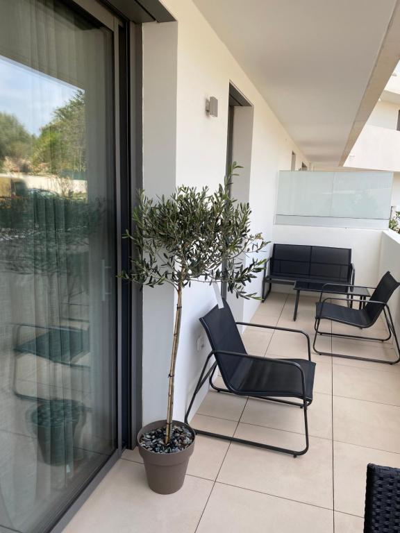 d'une terrasse avec des chaises et un pot. dans l'établissement Entre Plages et Jardins, à Marseille
