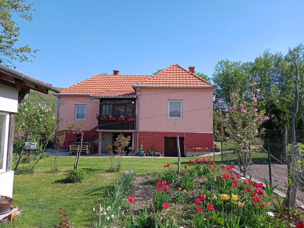 Zahrada ubytování Kuca Jablansko Polje