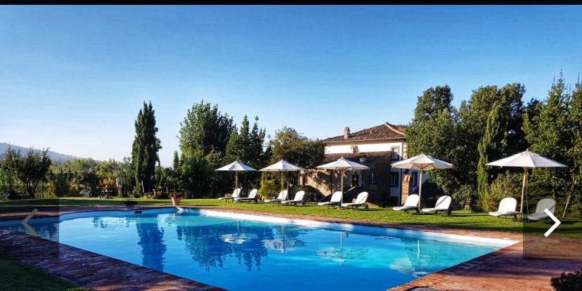 Bazén v ubytování Relais Villa Baldelli nebo v jeho okolí
