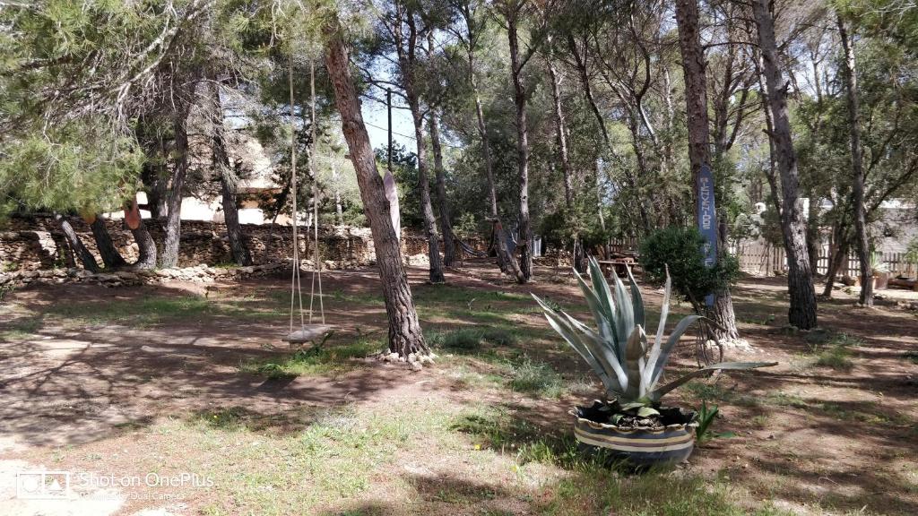 Zahrada ubytování Casa Beja