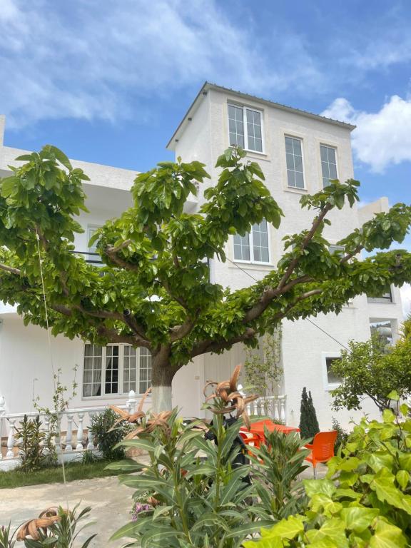 ein Baum vor einem weißen Gebäude in der Unterkunft Villa Denis Ksamil in Ksamil