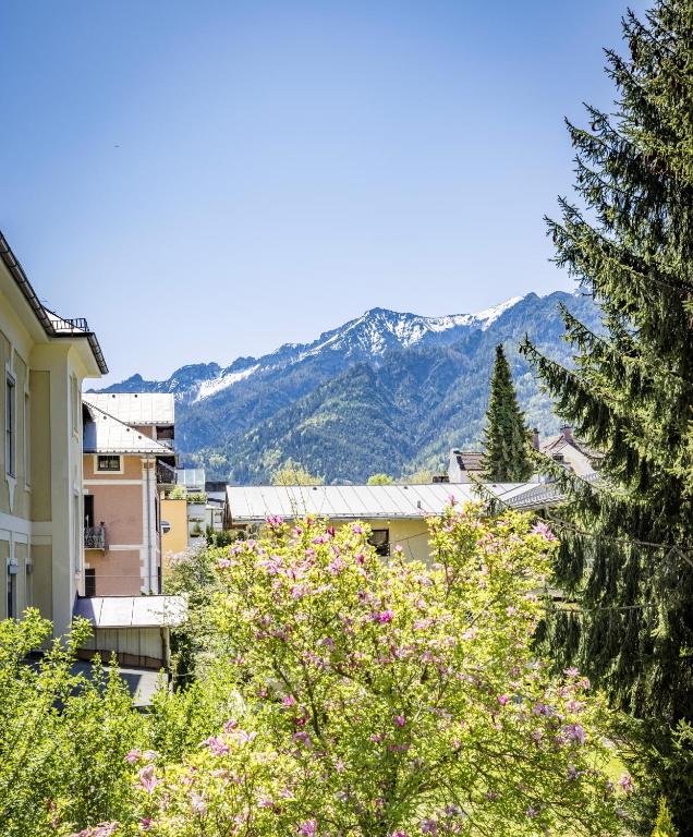 Příroda nedaleko hotelu
