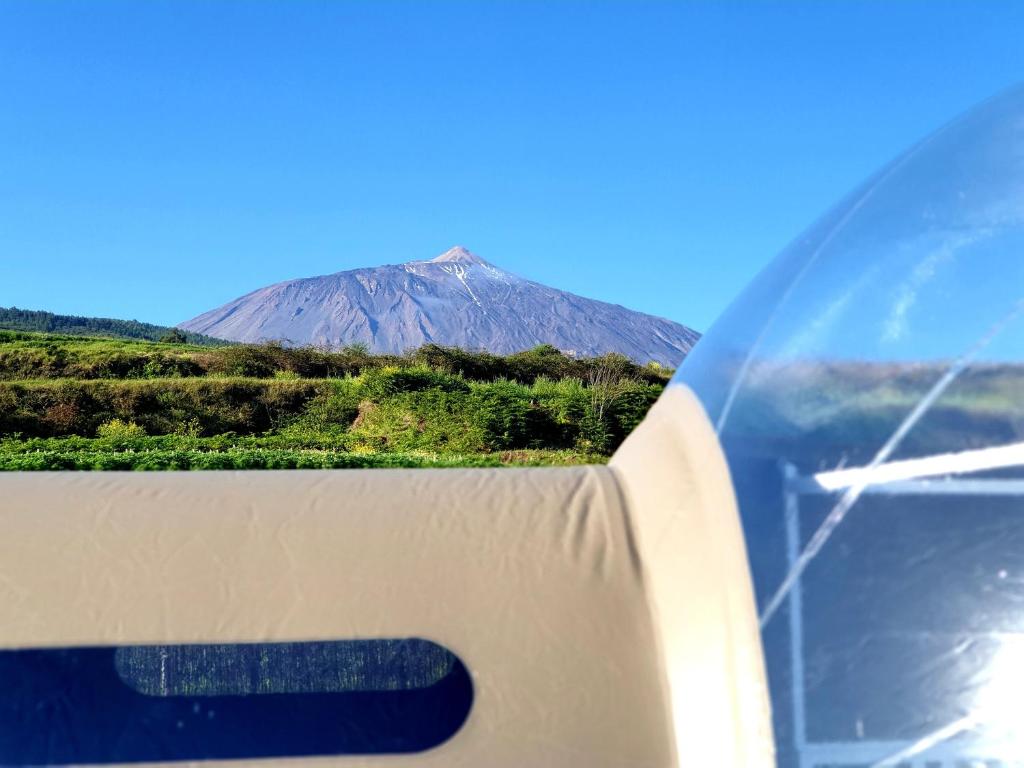 Booking.com: Hotel burbuja Finca Esferas , Santa Cruz de ...
