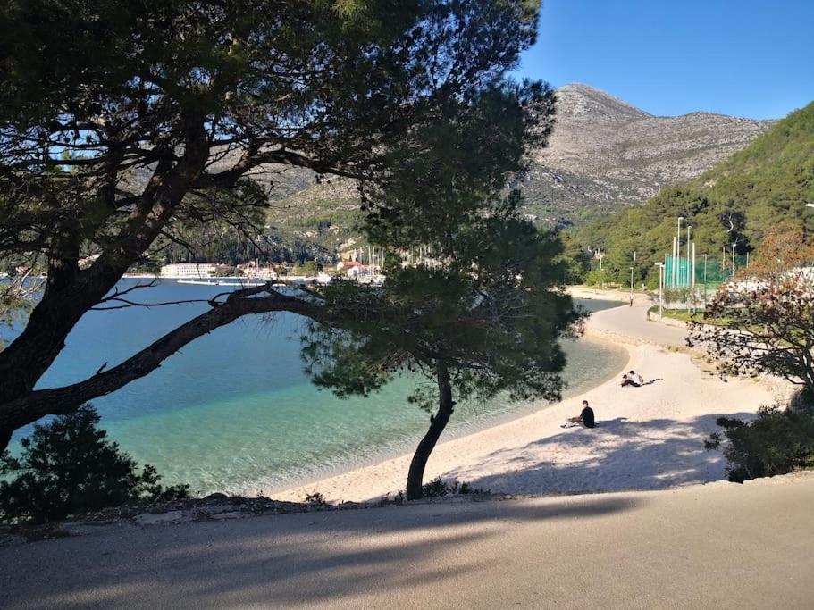 Príroda v okolí apartmánu