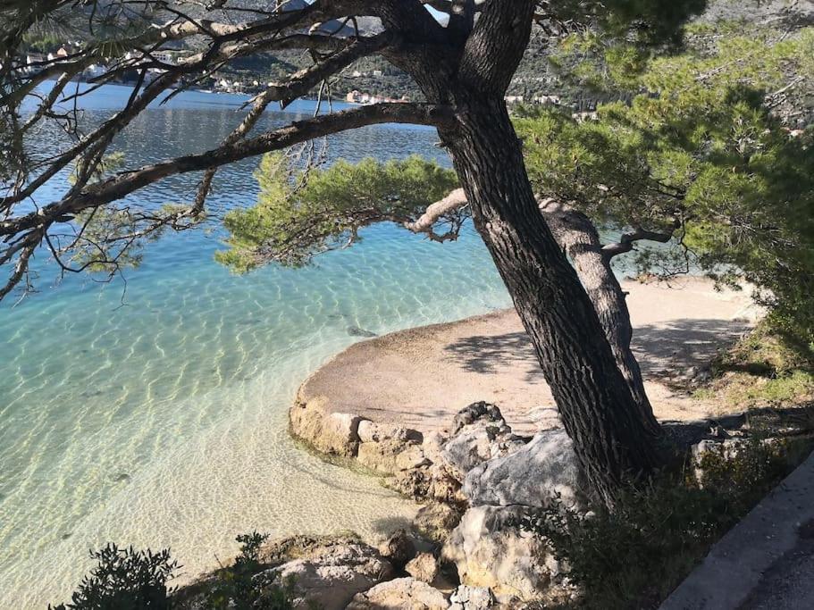 Príroda v okolí apartmánu