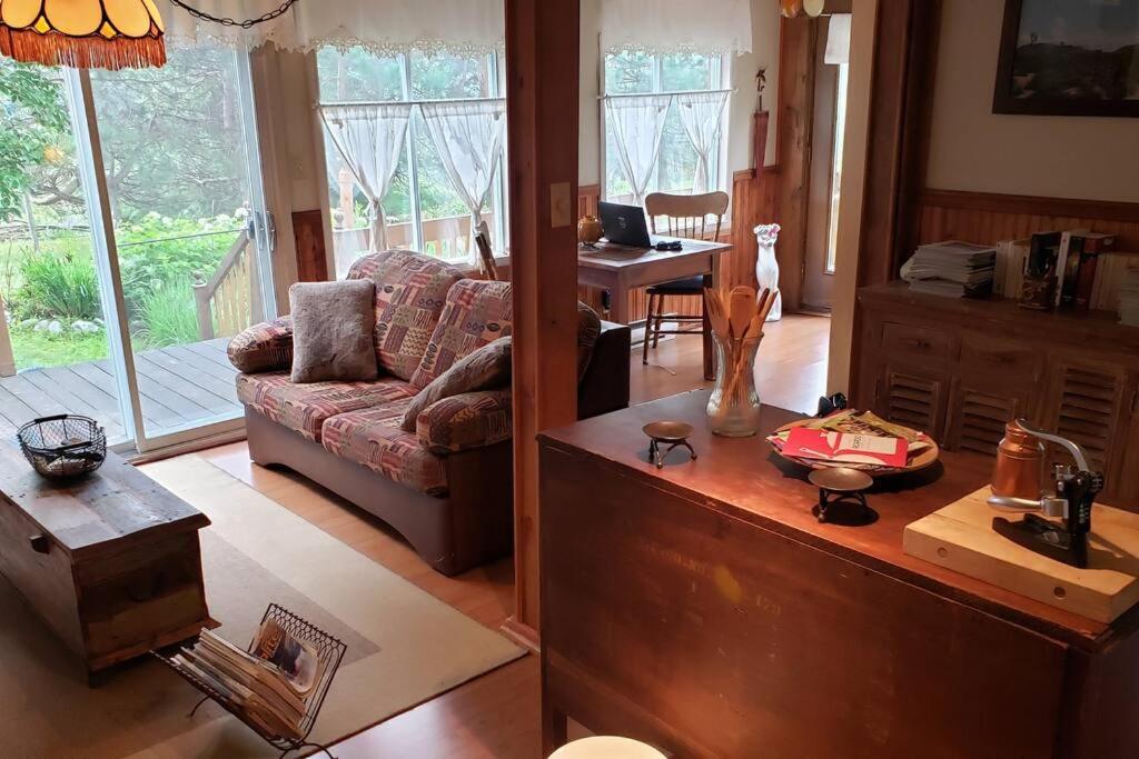 un salon avec un canapé et une table dans l'établissement Chalet - Les Tourterelles - très agréable pour couple et famille ., à Saint-Côme