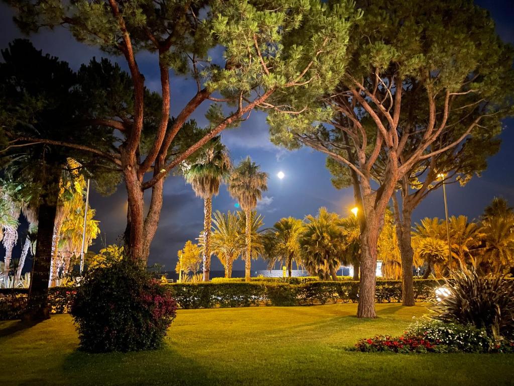 a park at night with palm trees and bushes at 4-Star Beachfront Appartment- Sea View in Cannes