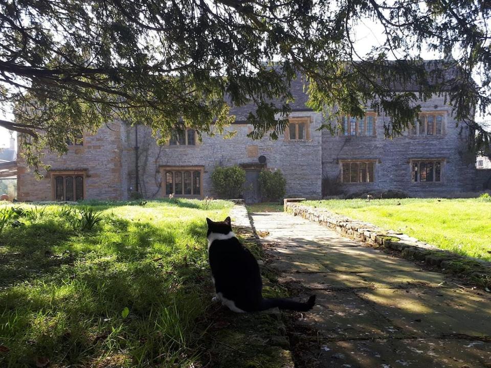 Czarno-biały kot siedzący przed budynkiem w obiekcie The Manor House, Curry Mallet w mieście Taunton