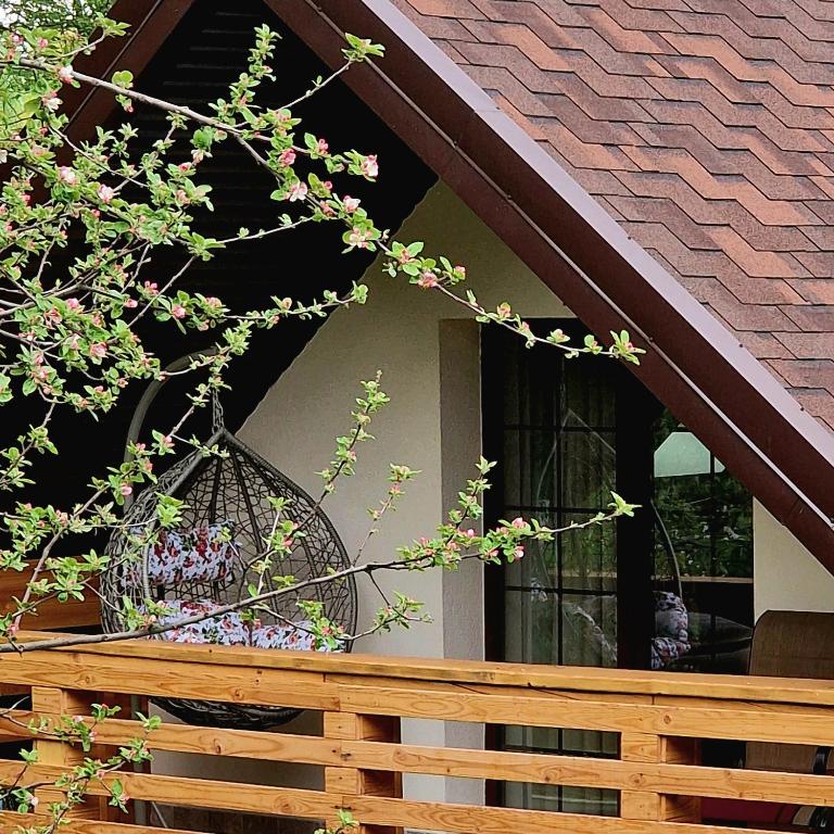 Provence Suceava - 
