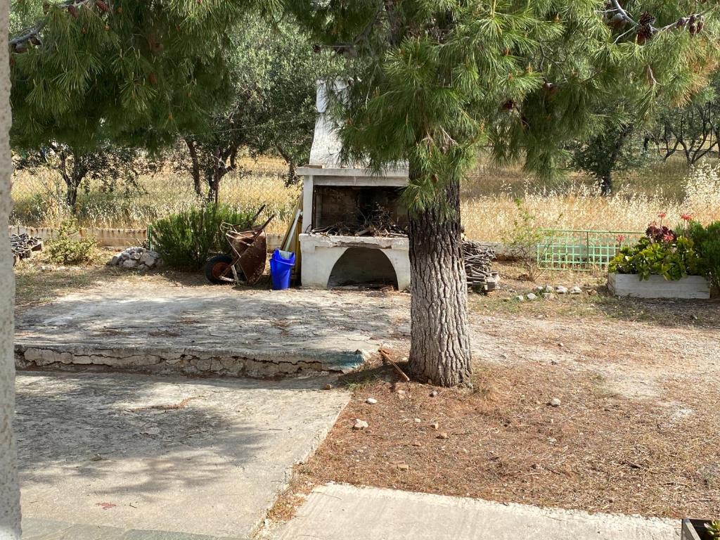 Fotografia z galérie ubytovania Cosy Calm Cottage in olive trees with sea view v destinácii Ermioni
