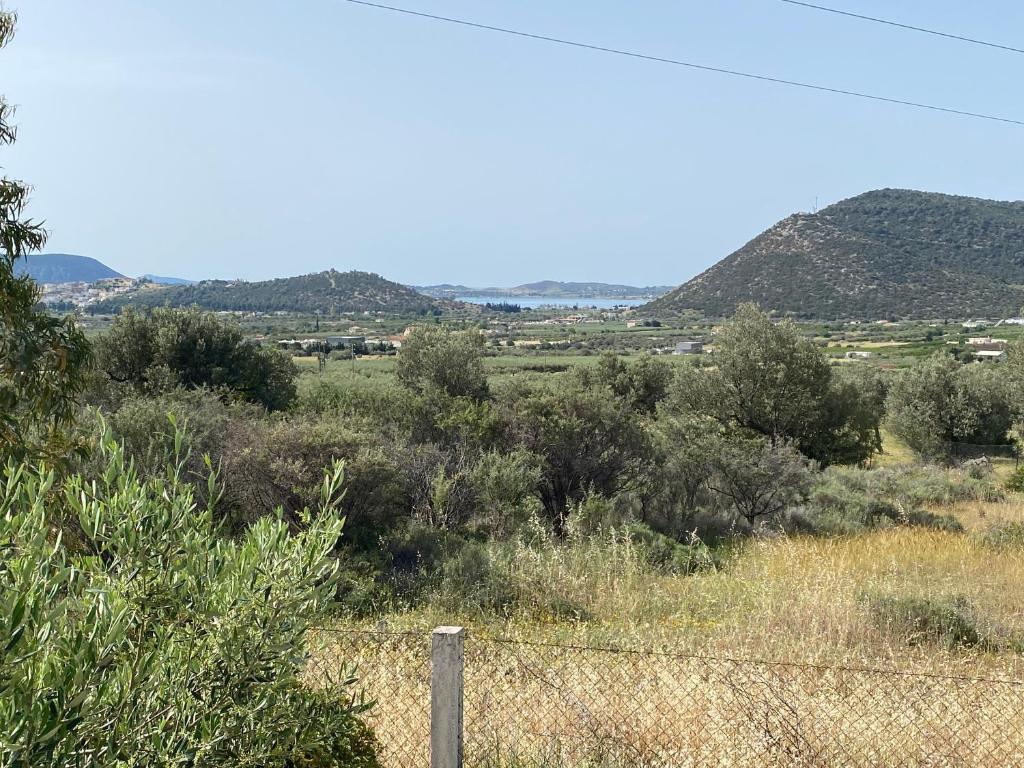 Fotografia z galérie ubytovania Cosy Calm Cottage in olive trees with sea view v destinácii Ermioni