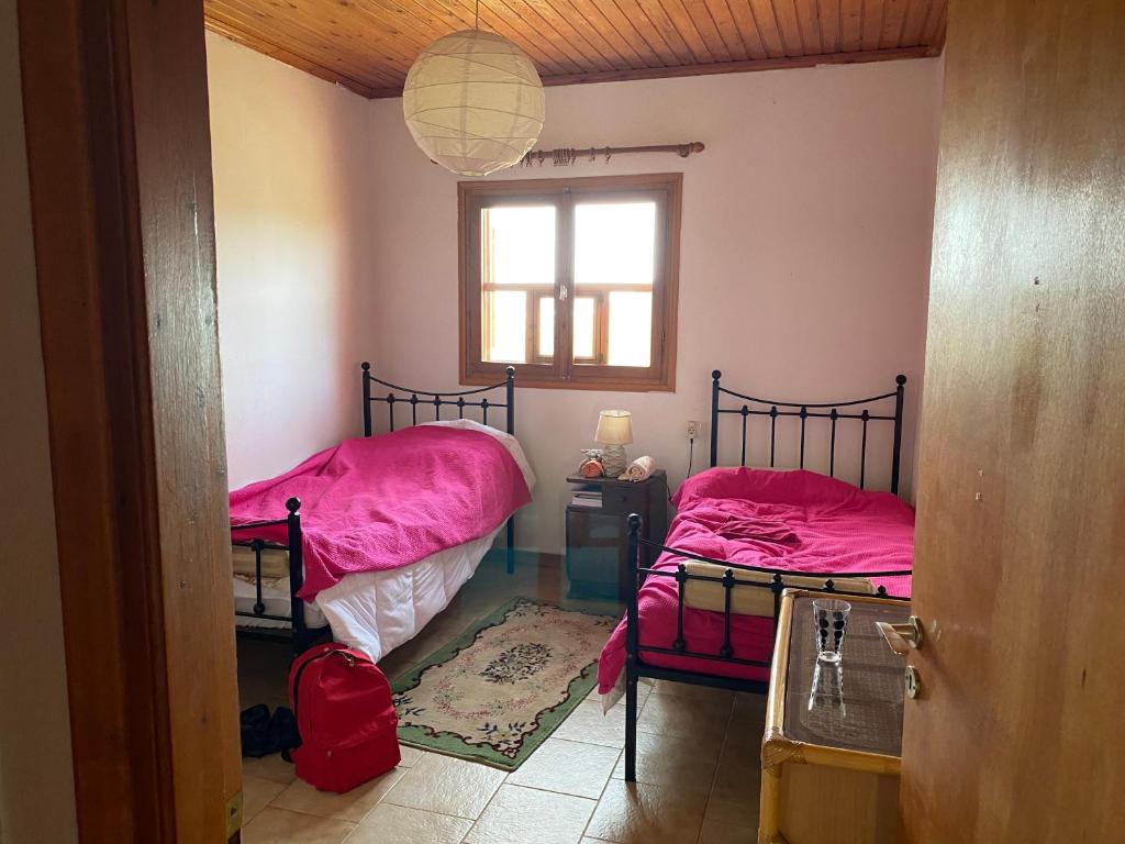 Fotografia z galérie ubytovania Cosy Calm Cottage in olive trees with sea view v destinácii Ermioni