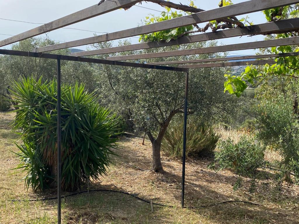 Fotografia z galérie ubytovania Cosy Calm Cottage in olive trees with sea view v destinácii Ermioni
