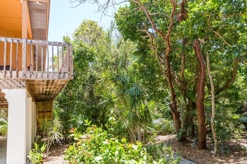 Zahrada ubytování The Florida Keys Treehouse in Marathon, FL