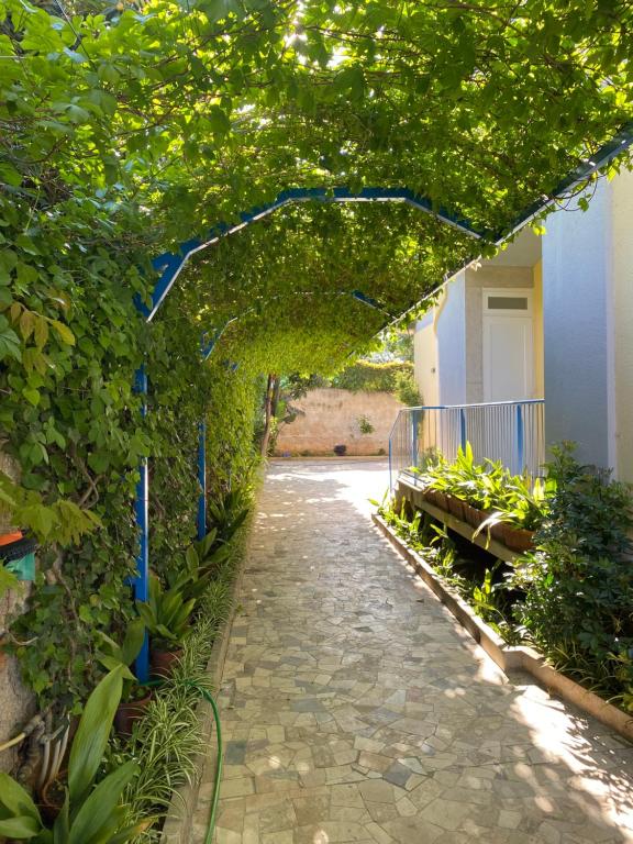 A garden outside Villa Savoia Mondello