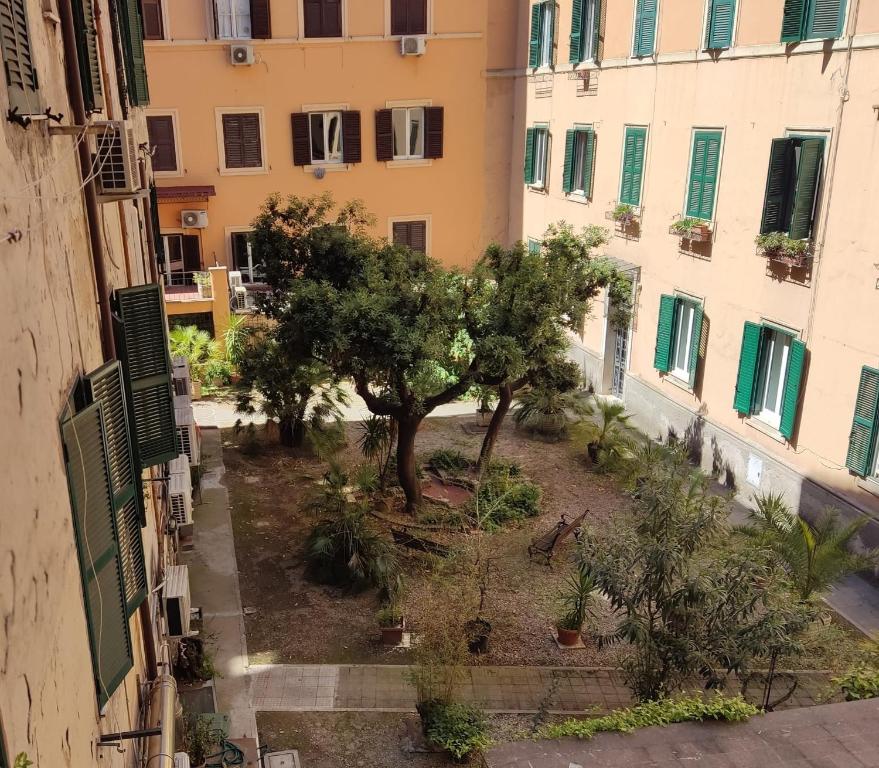 ローマにあるCASA DI SILVIA a PORTA PIAの木と建物のあるアパートメントの中庭