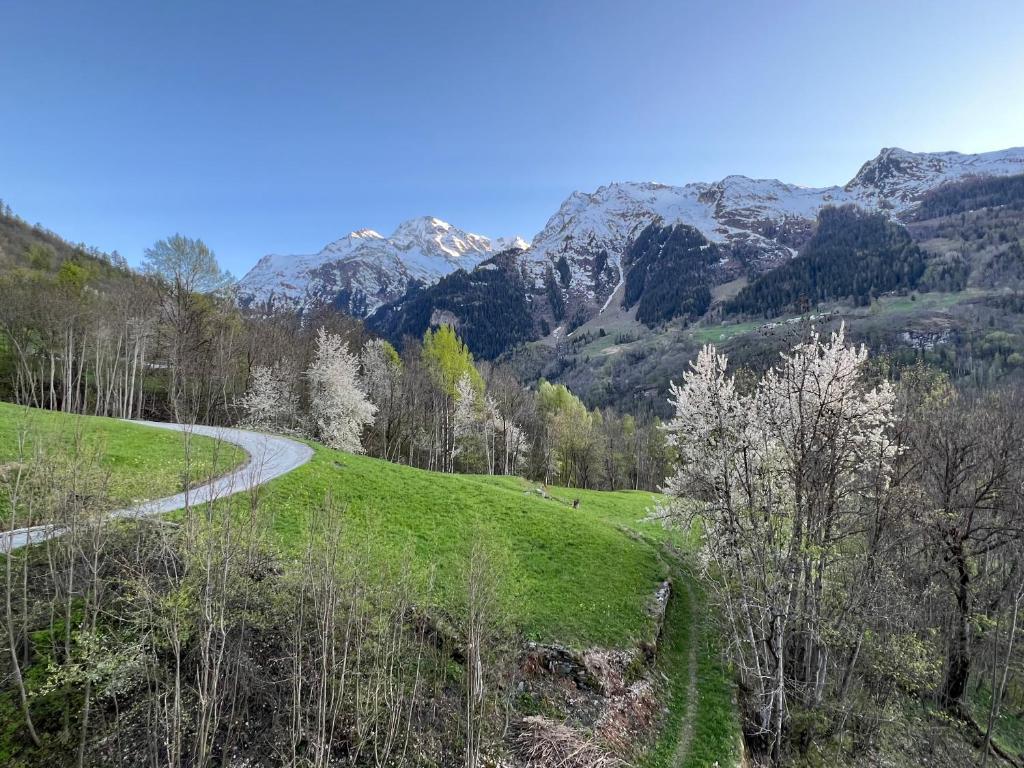 a road in a field with mountains in the background at Chalet Altus in Sainte-Foy-Tarentaise