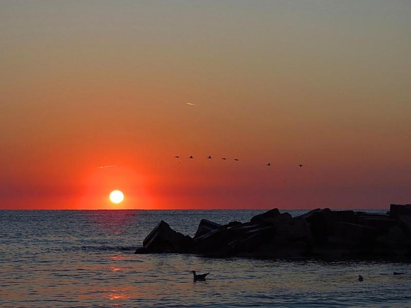 a flock of birds flying over the ocean at sunset at Sunrise Home Apartment in Mangalia
