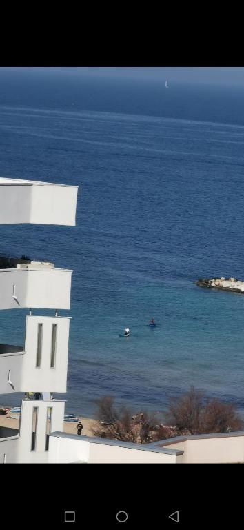 SUMMER PARADISE - 19