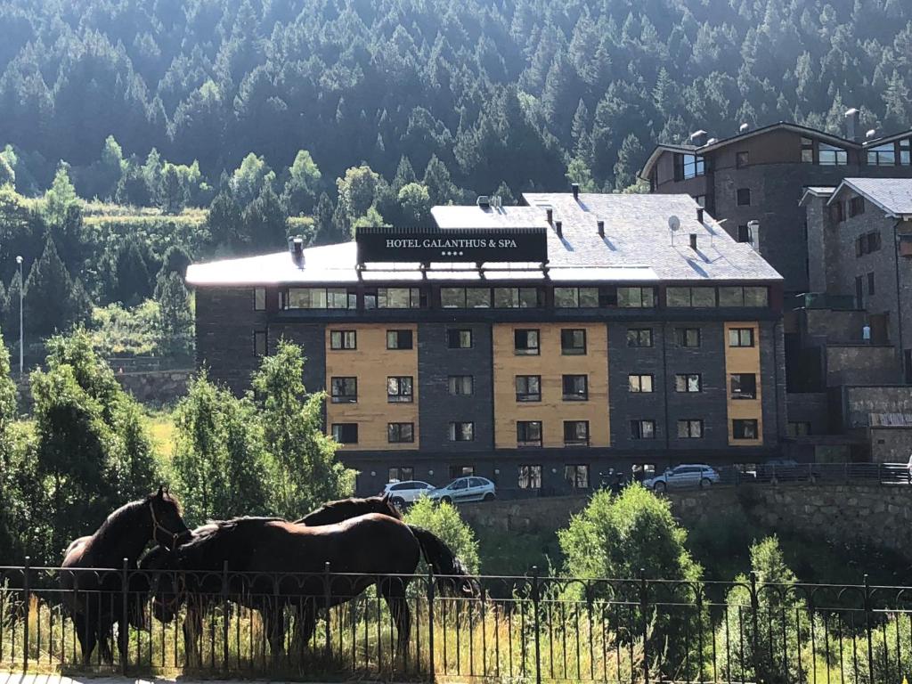 Příroda nedaleko hotelu