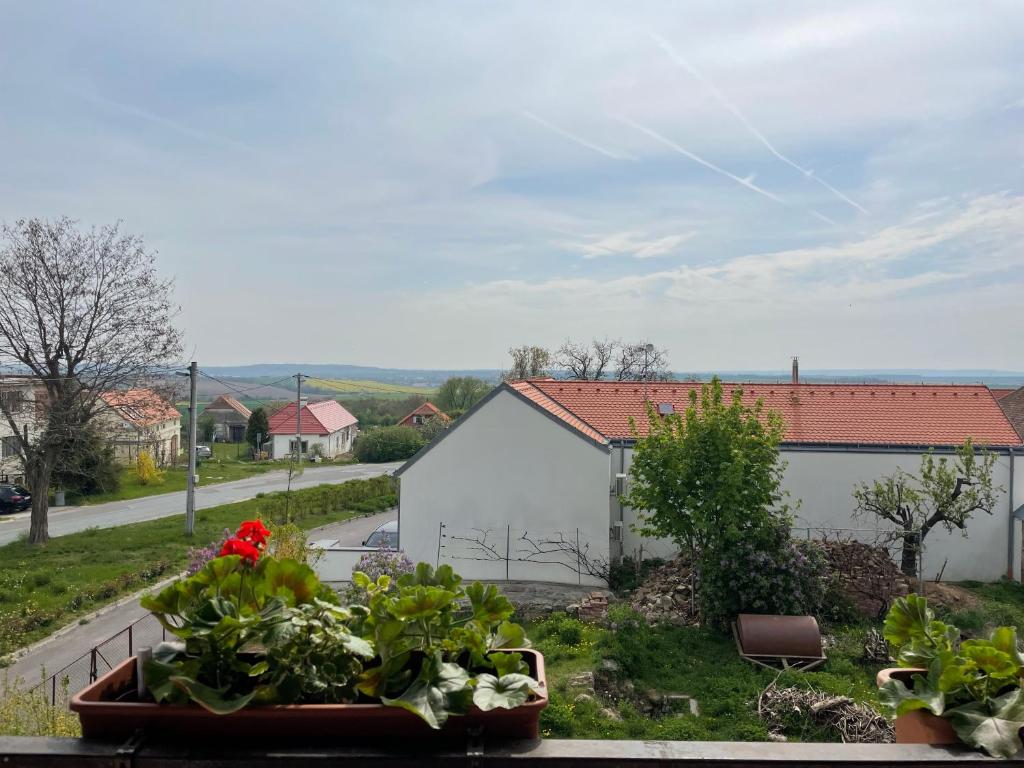 Zahrada ubytování Apartmán U Březinů