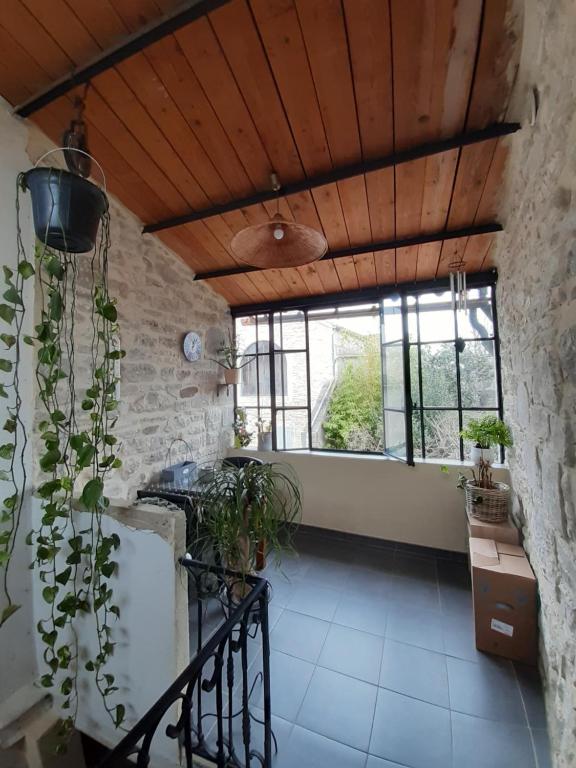 une cuisine avec beaucoup de plantes dans une pièce dans l'établissement Nos jours heureux, à Barjac