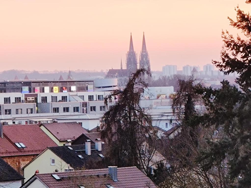 uma vista para uma cidade com edifícios e uma catedral em Domblick Regensburg em Regensburg