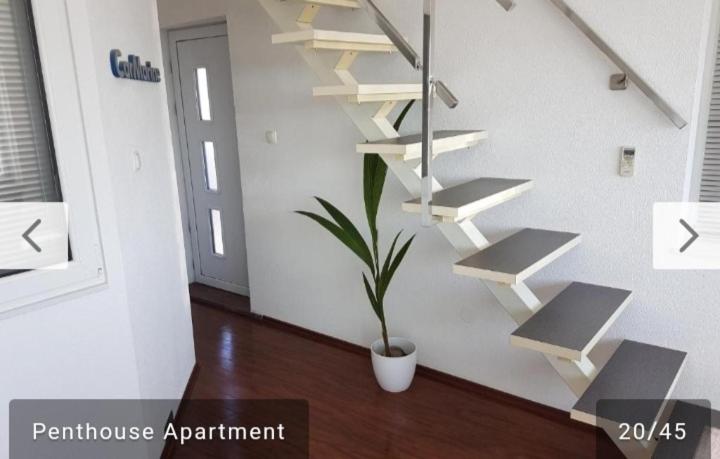 Penthouse Jacuzzi & Pool Luxury Apartments - 16