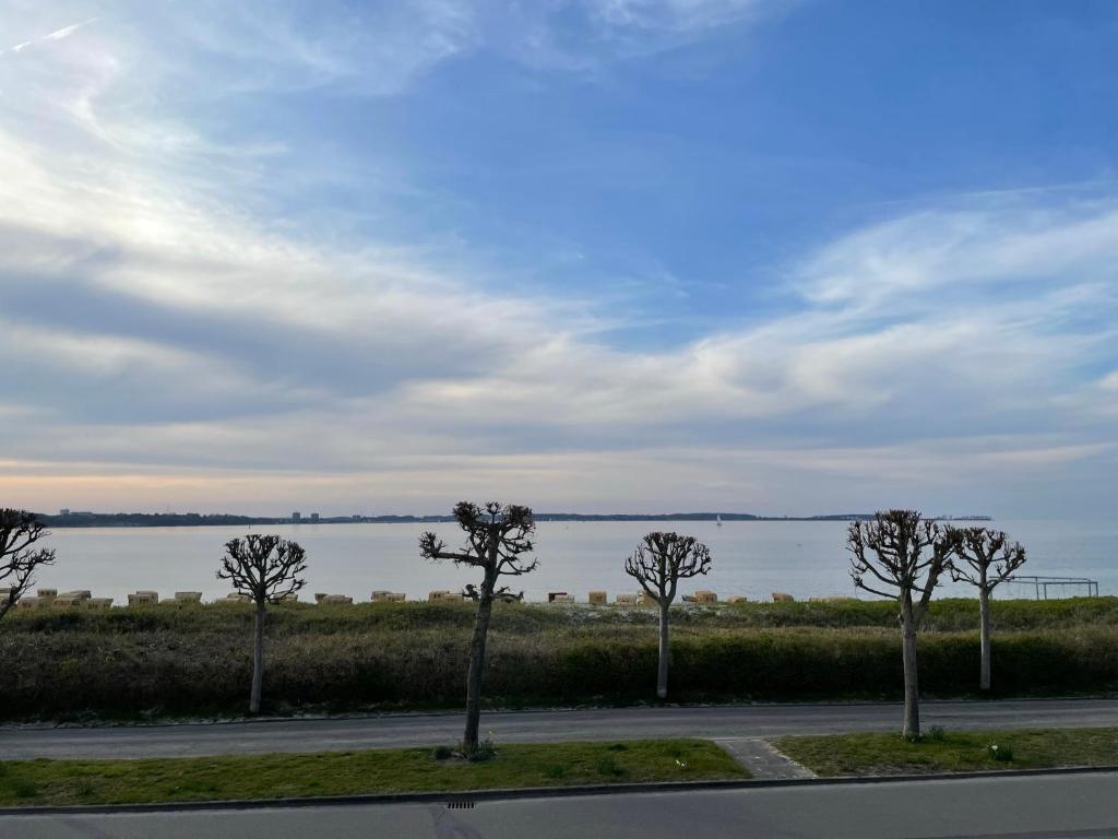 eine Reihe von Bäumen auf einer Straße neben einem Wasserkörper in der Unterkunft Wohnungen mit direktem Meerblick in Laboe