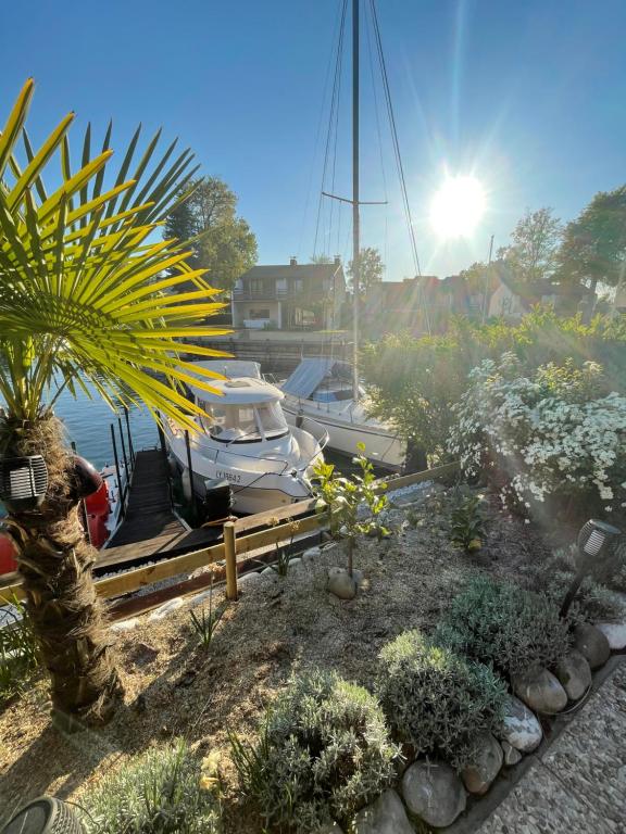 a boat docked in a marina with a palm tree at Port Ripaille, les grèbes 24 in Thonon-les-Bains