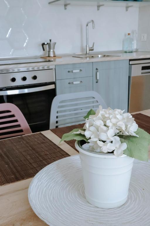 a white potted plant sitting on a table in a kitchen at Pura Agro Vida in Galizano