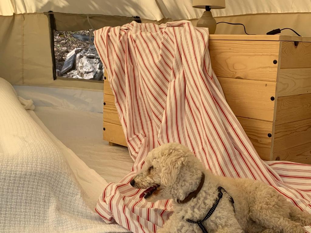 Postel nebo postele na pokoji v ubytování Bigova Glamping