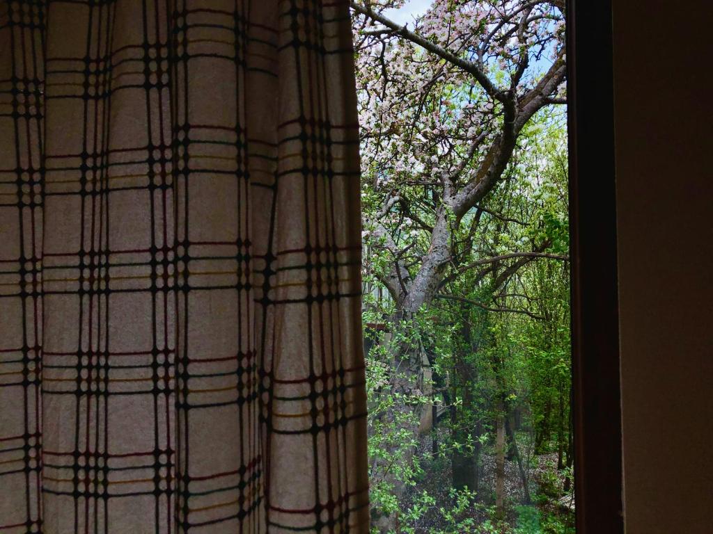 Fotografie z fotogalerie ubytování Dil Hill by Sam v destinaci Dilidžan