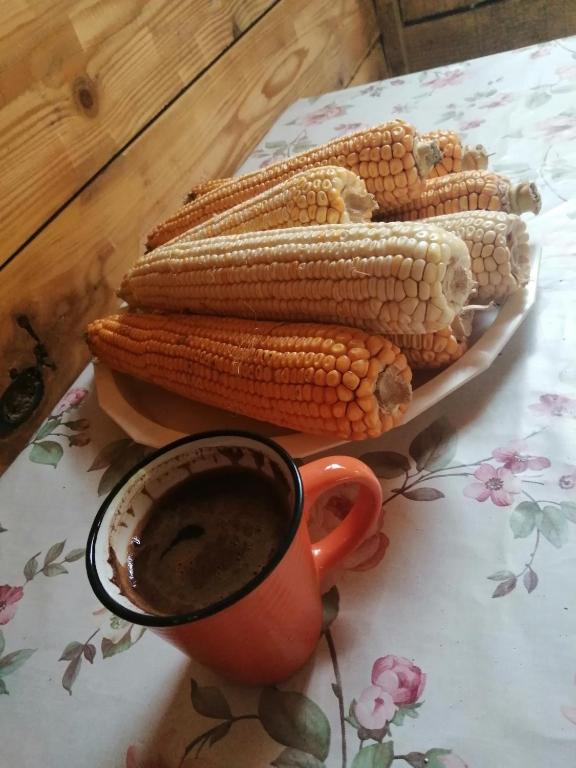 Jídlo v apartmánu nebo okolí