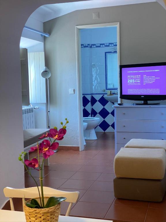 TV a/nebo společenská místnost v ubytování Monte Do Zambujeiro
