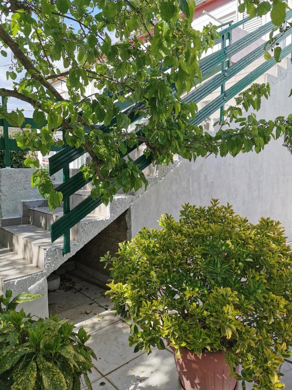Ogród w obiekcie Apartman Blaslov Kali