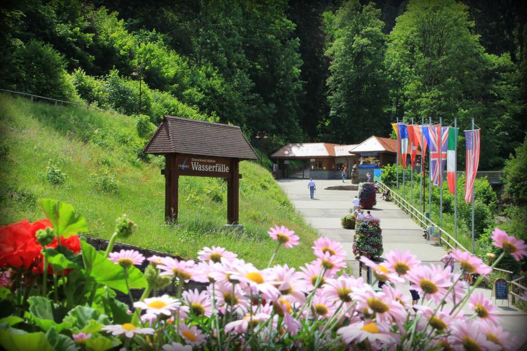 Zahrada ubytování Hotel Pfaff