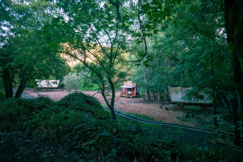 Příroda nedaleko luxury tent