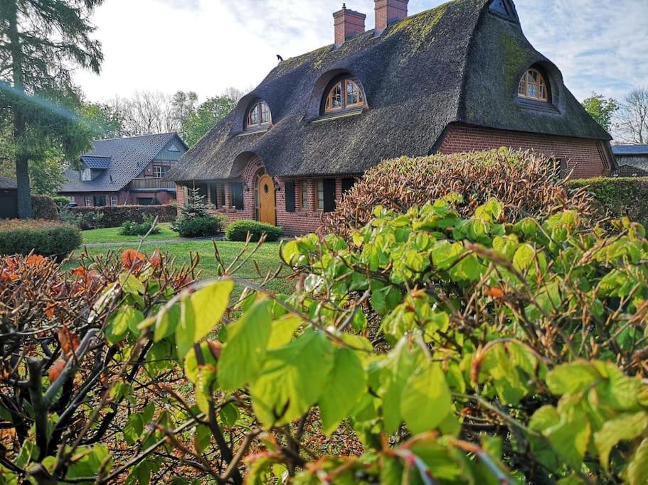 una casa antigua con techo de paja en un patio en Reethaus mit Meerblick- In 30 Sekunden am Strand, en Boltenhagen