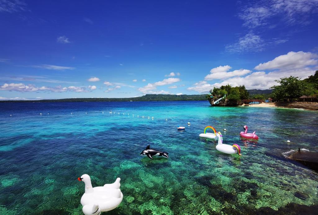 Afbeelding uit fotogalerij van Jelly Sea Resort in Siquijor