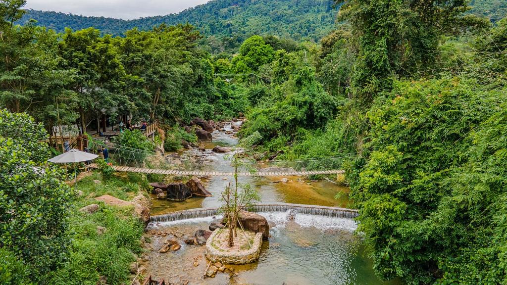 Vue aérienne d'une rivière dans une forêt dans l'établissement Green Valley Veal Pouch, à Kampot