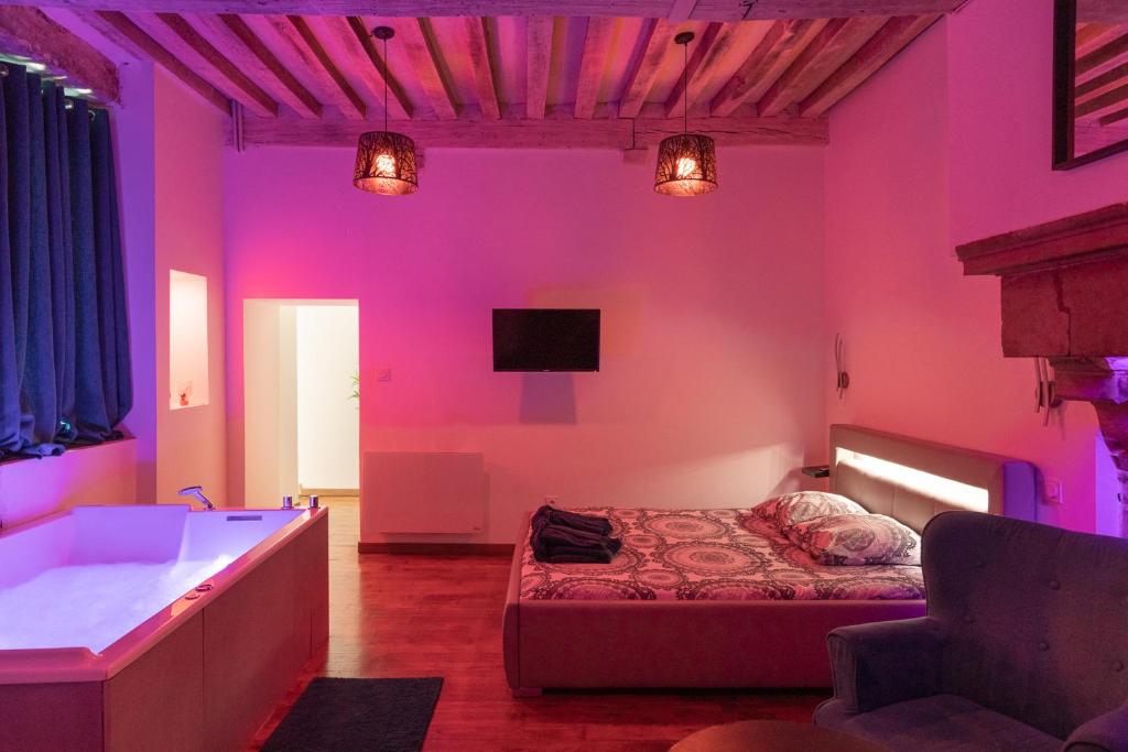 ディジョンにあるLuxury Spaのベッドルーム(ベッド1台、バスタブ、テレビ付)