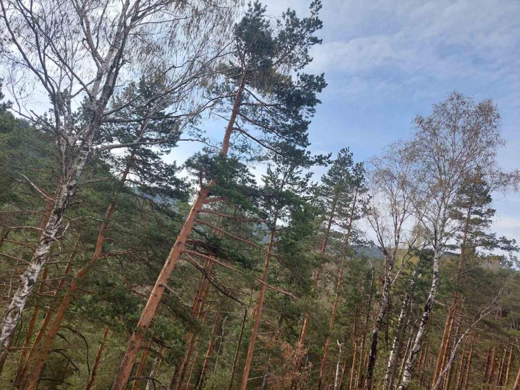 Příroda nedaleko apartmánu